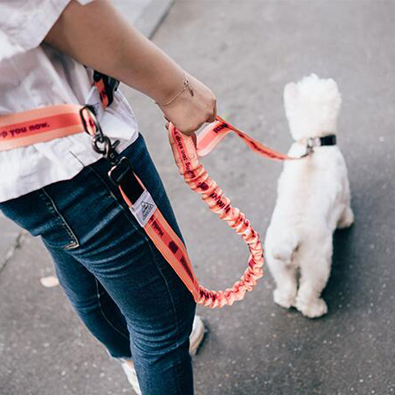 Running Gear Organizer - Adjustable Hand Free Dog Leash for