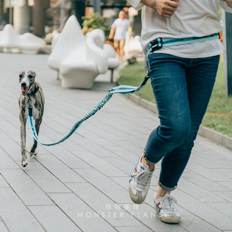 Adjustable Hand Free Dog Leash - огляд і ціна Running Gear Organizer