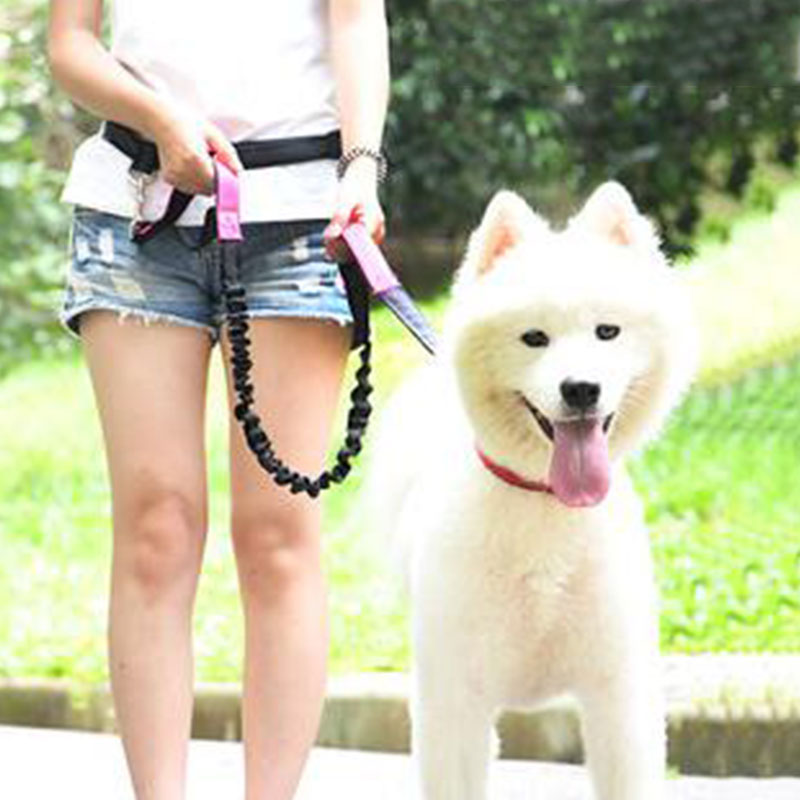 Adjustable Hand Free Dog Leash - огляд і ціна Running Gear Organizer