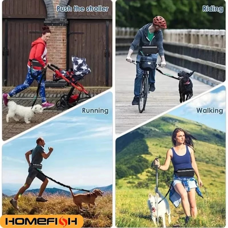 Hands‑Free Reflective Dog Leas - огляд і ціна Running Gear Organizer
