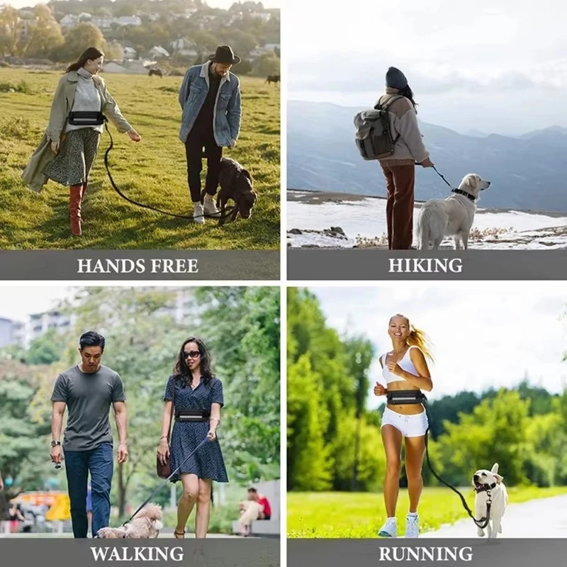 Hands‑Free Reflective Dog Leas - огляд і ціна Running Gear Organizer