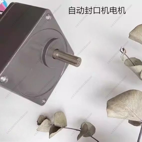 Single-phase Capacitor-run Asy - огляд і ціна Running Gear Motor