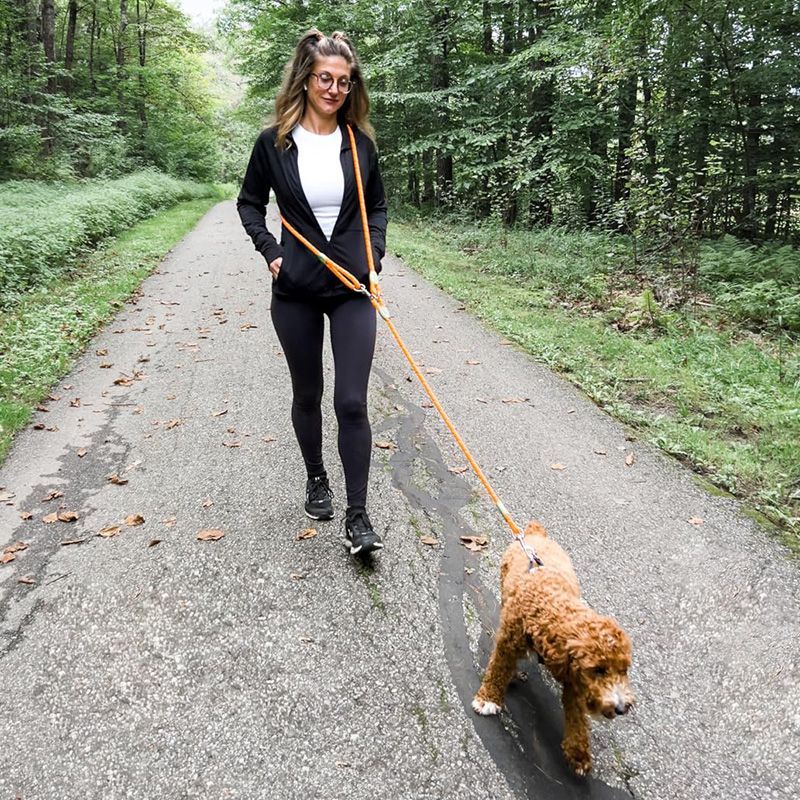 Reflective Hands-Free Dog Leas - огляд і ціна Running Gear Organizer